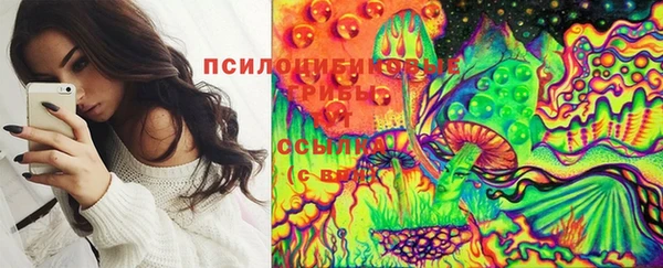 ешки Ельня