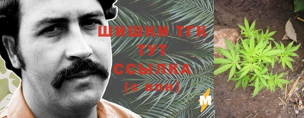 ешки Ельня