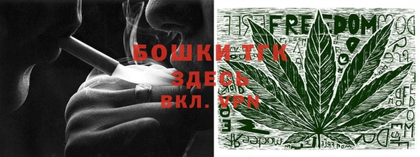 ешки Ельня