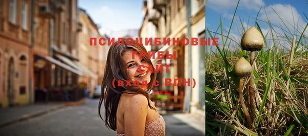 ешки Ельня