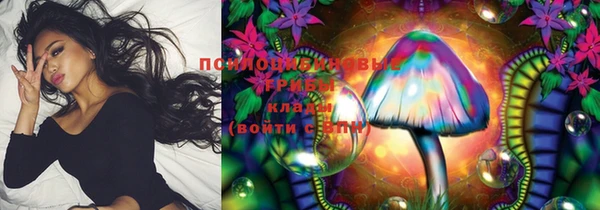 ешки Ельня